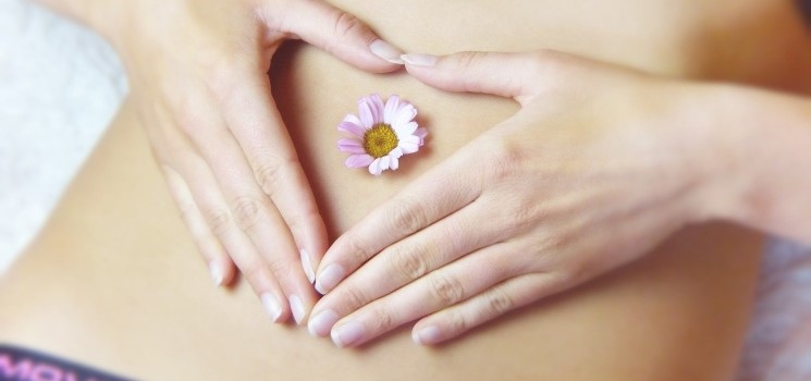 Am weiblichen Bauch die Fortpflanzungsbiologie erklären Am weiblichen Bauch die Fortpflanzungsbiologie erklären