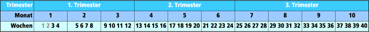 Schwangerschaft Trimester Einteilung in Wochen und Monate Schwangerschaft Trimester Einteilung in Wochen und Monate
