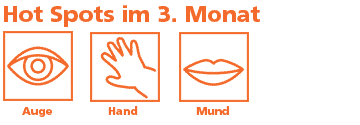 Meilensteine in der Entwicklung des Ungeborenen im 3. Monat sind Auge, Hand und Mund Meilensteine in der Entwicklung des Ungeborenen im 3. Monat sind Auge, Hand und Mund
